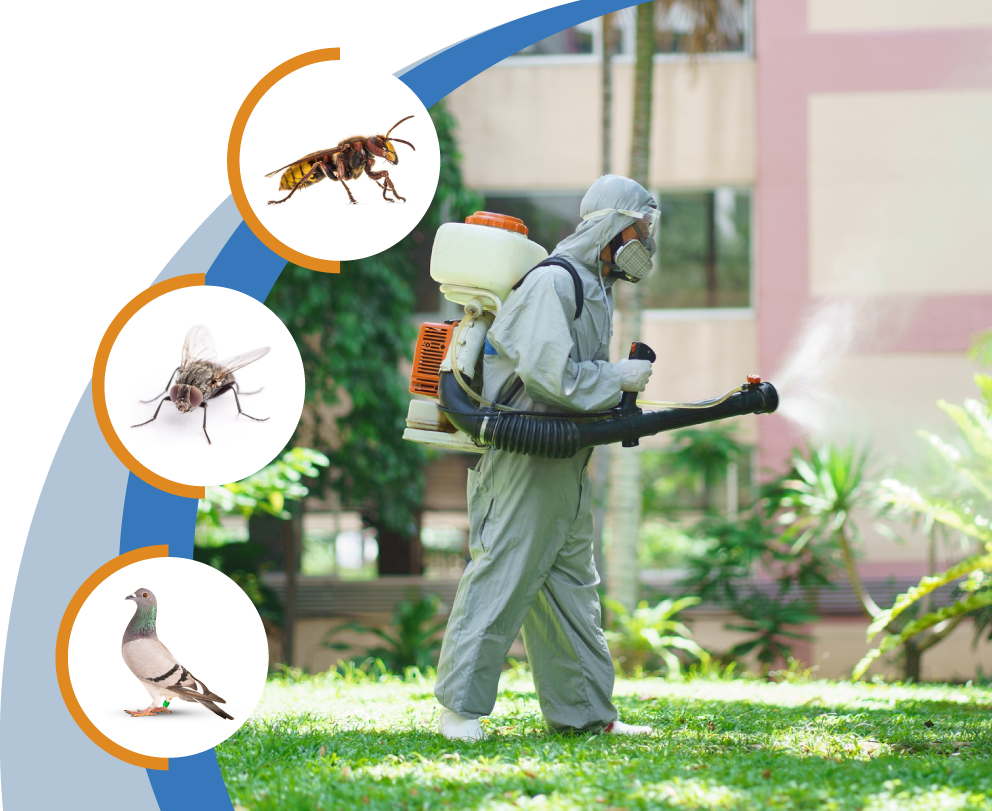 Pest control specialist